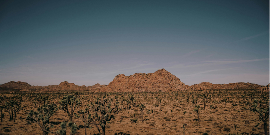 Where Mojave Pure's Clay Comes From: The Significance of Origin